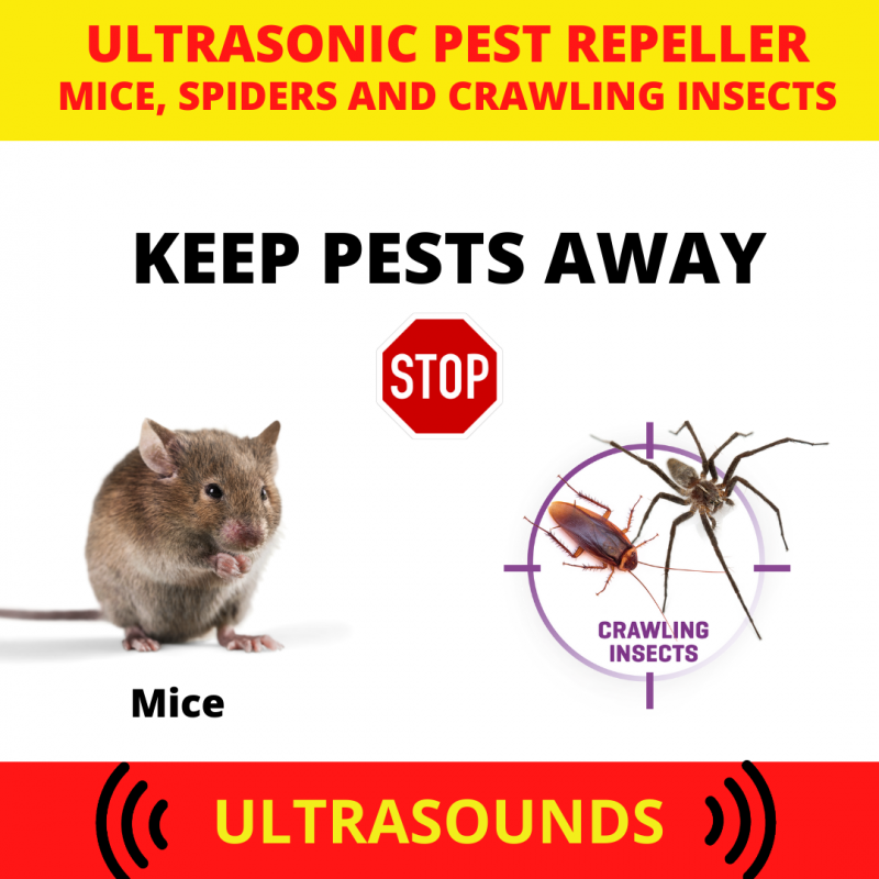 WEITECH Repulsif Ultrason Anti Rongeurs Insectes Weitech - WK0220