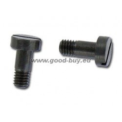 Vis spéciale Zyl. M 3x6 (x2)