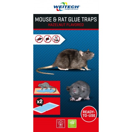 WEITECH | MOUSE & RAT GLUE TRAPS hazelnut flavoured
